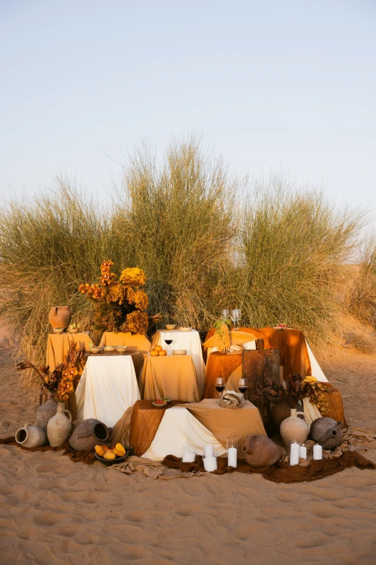 Within the Desert Light