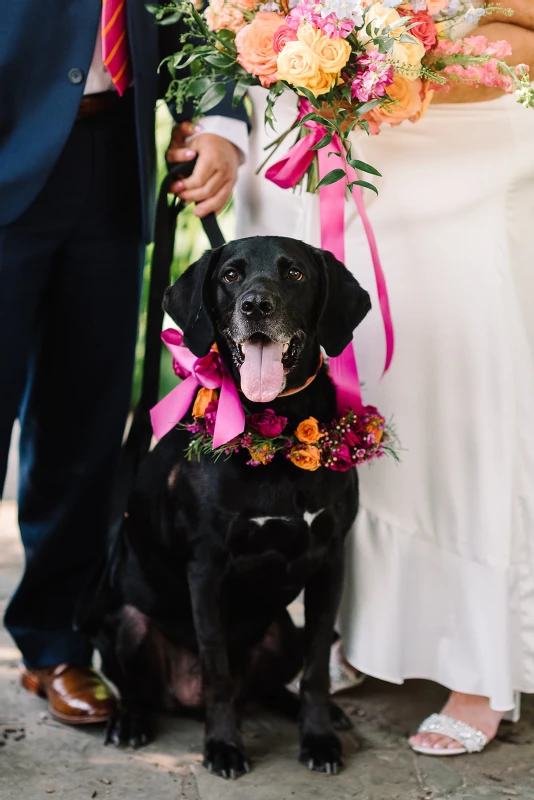 An Elopement for Ivy and Tom