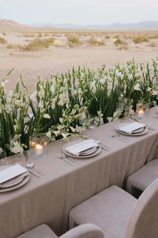 Desert Modernism in Monochrome