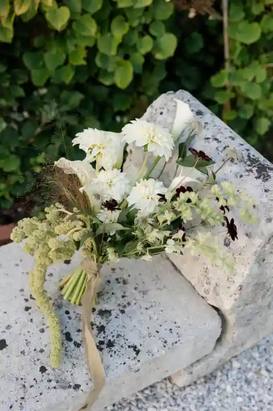 Organic Elegance in New England