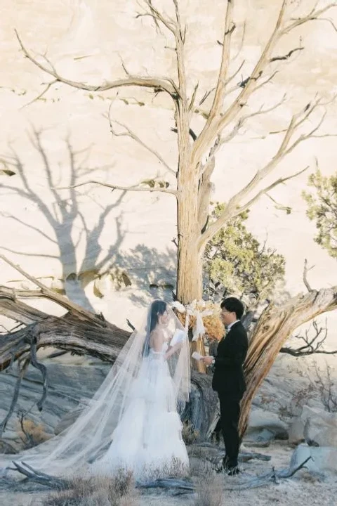 A Desert Elopement for Lele and Joe