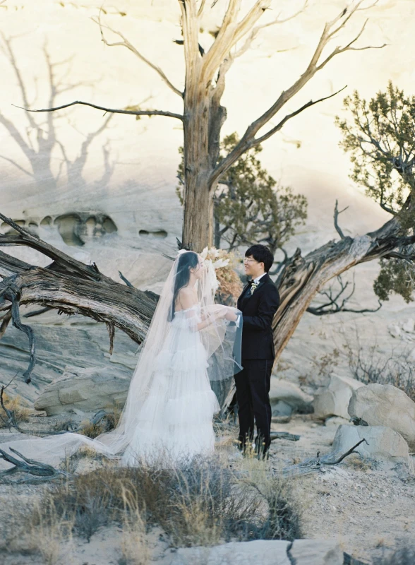 A Desert Elopement for Lele and Joe