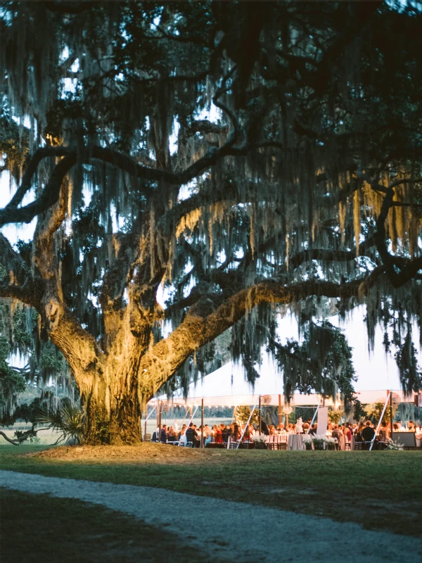 An Outdoor Wedding for Mallory and Cameron