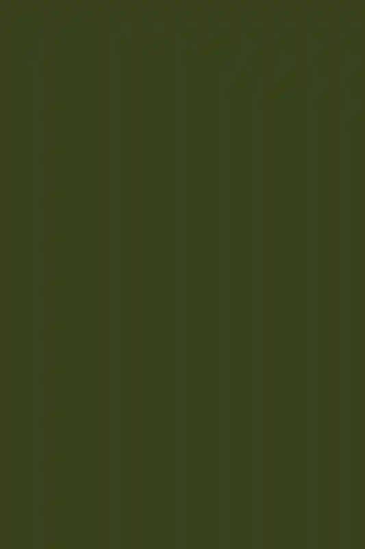 A Colorful Wedding for Natasha and Paul