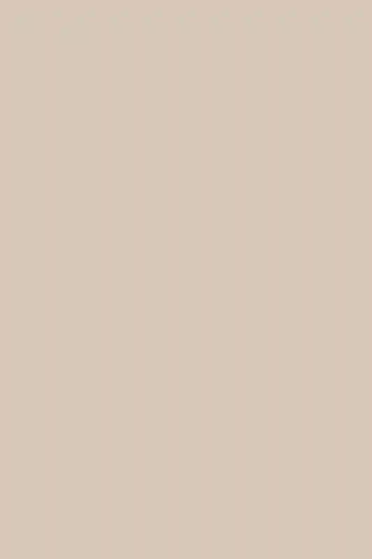 A Colorful Wedding for Natasha and Paul