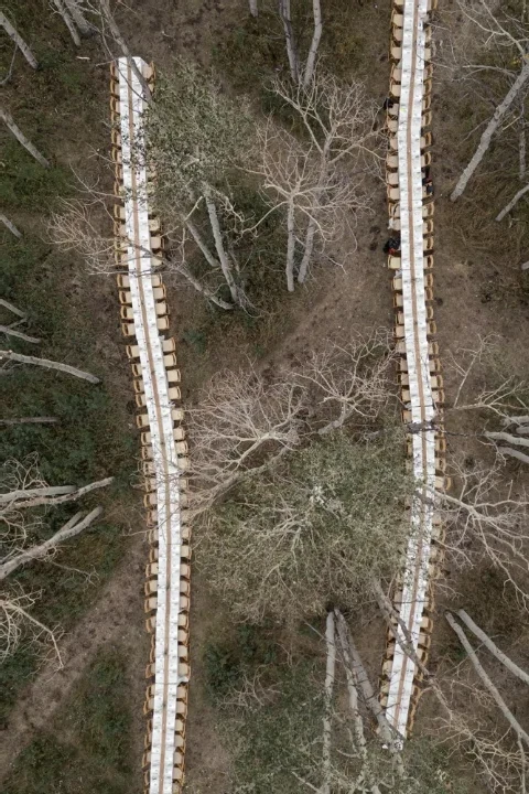 A Forest Wedding for Olivia and Zack