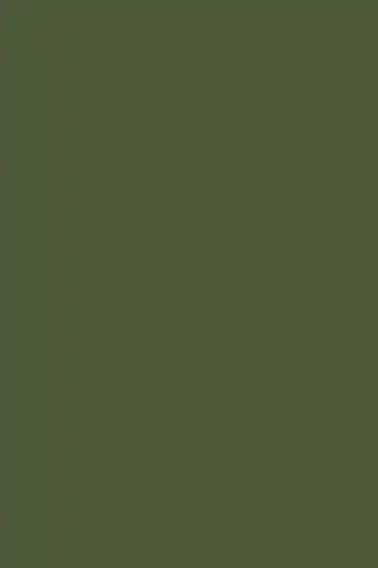 A Colorful Wedding for Rachel and Trevor