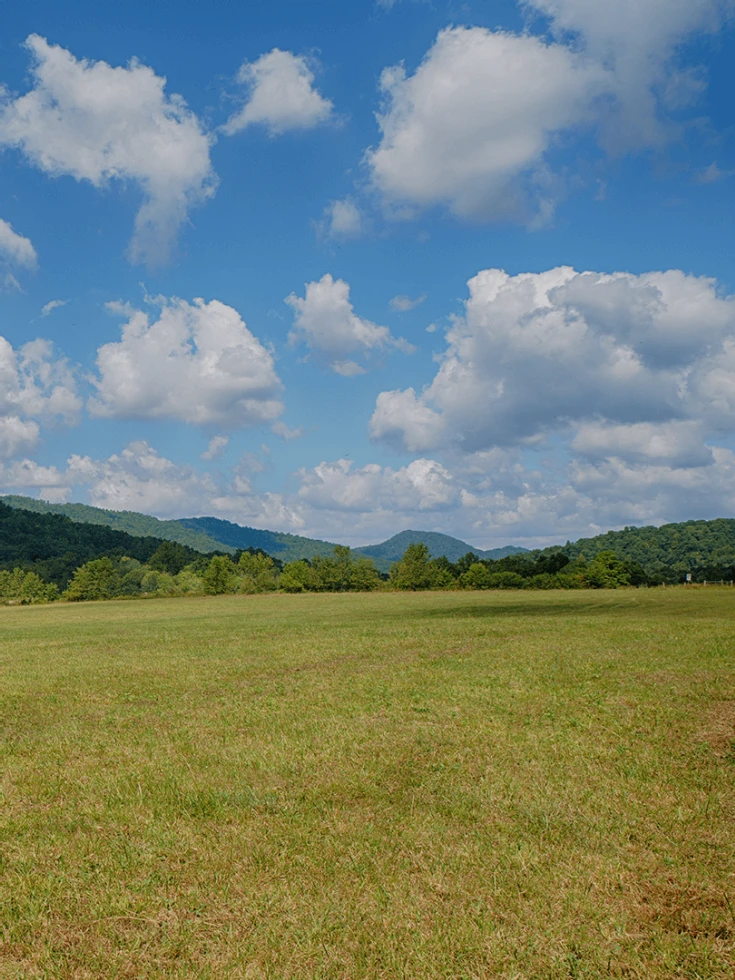 Rock Spring Mountain Farm