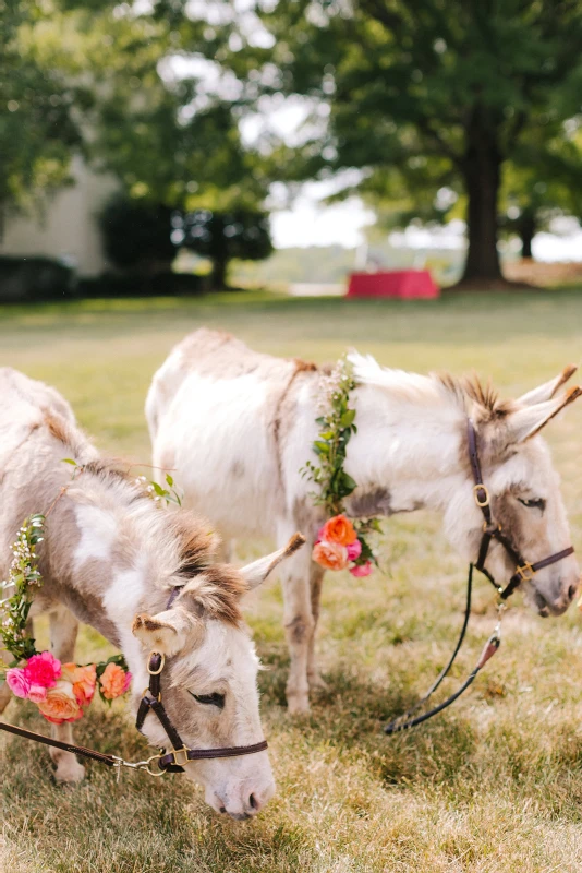 A Modern Wedding for Sarah and Zack