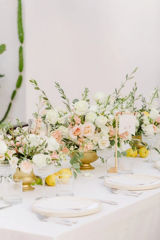 An Outdoor Wedding for Stephanie and Michael