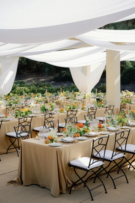 A Vineyard Wedding for Sophia and Harry