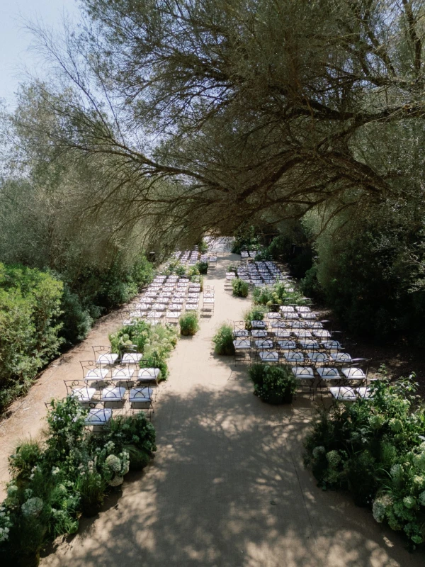 A Vineyard Wedding for Sophia and Harry