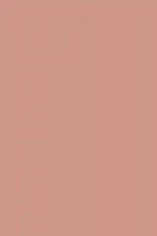 A Colorful Wedding for Stella and Brett