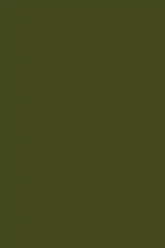 A Colorful Wedding for Stella and Brett