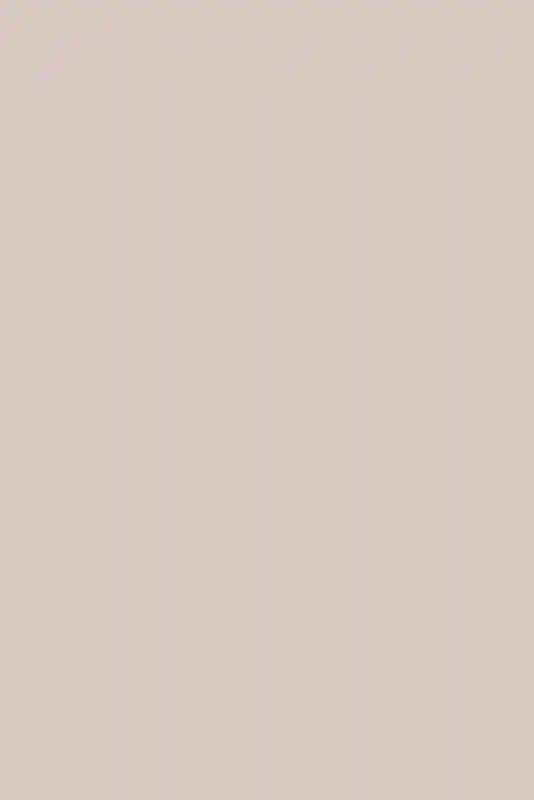 A Colorful Wedding for Stella and Brett