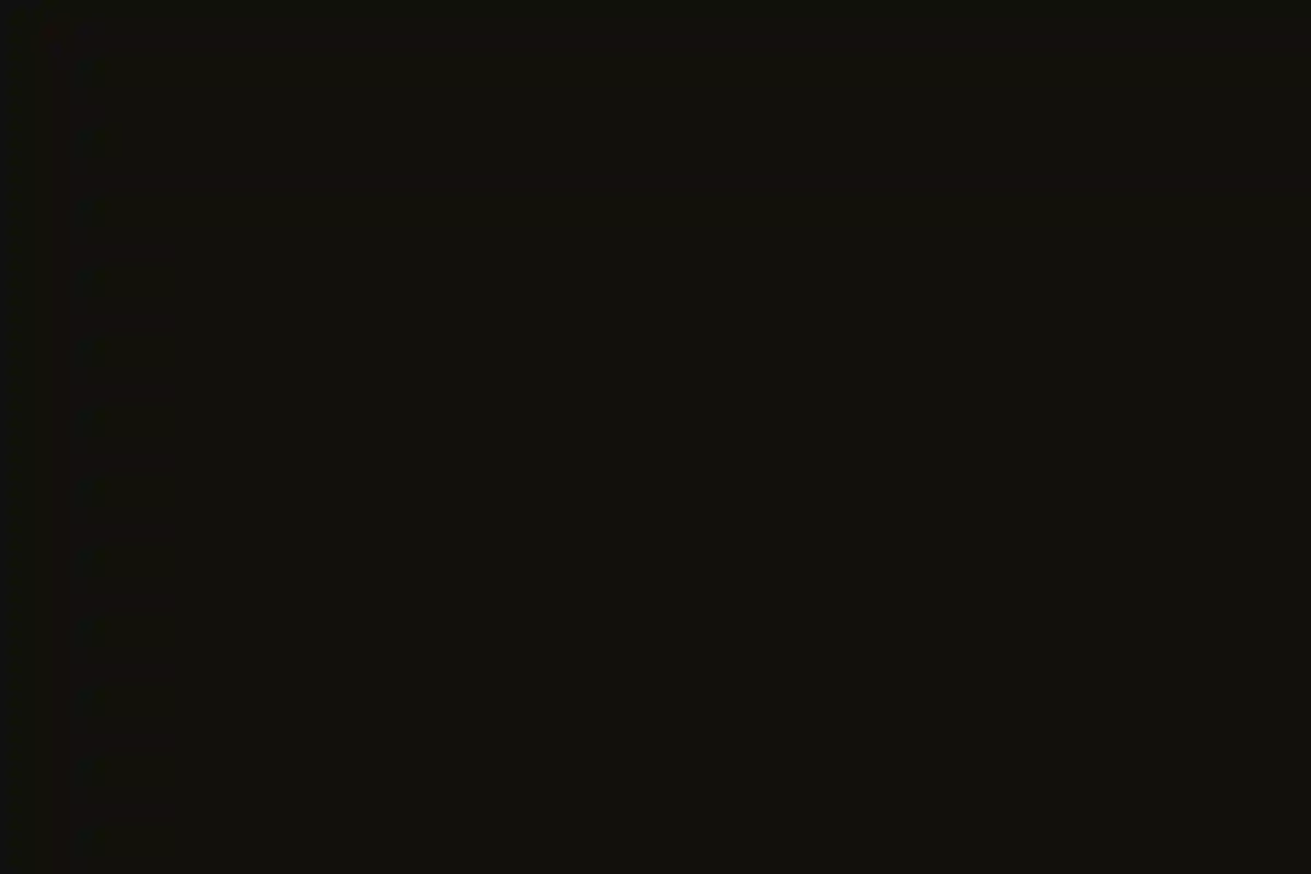 A Colorful Wedding for Stella and Brett