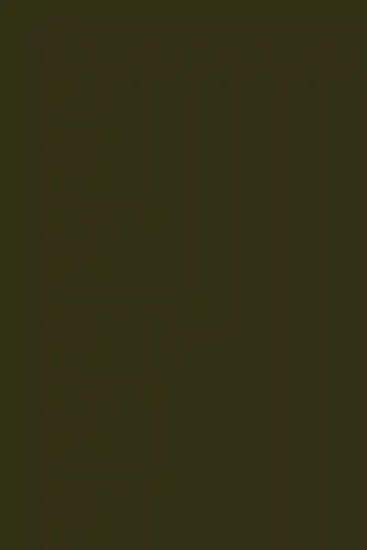 A Colorful Wedding for Stella and Brett