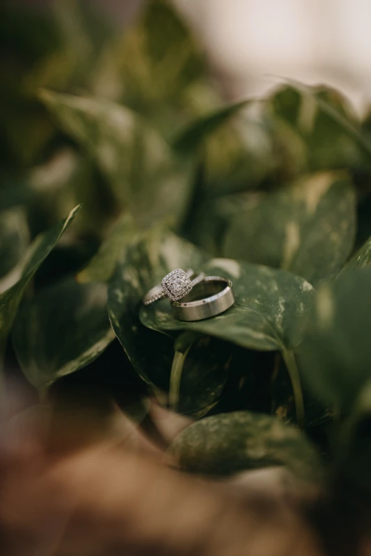 An Indoor Wedding for Tamata and Frank