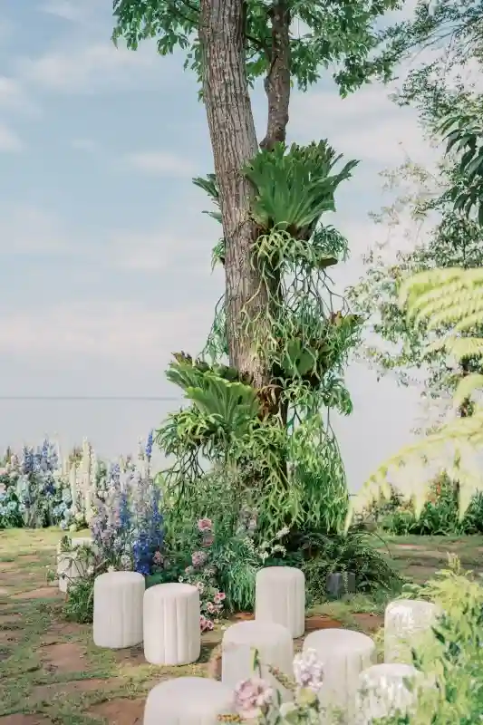 A Colorful Wedding for Trung and Quỳnh