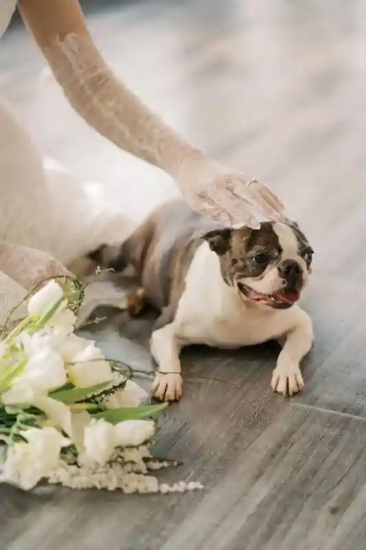A Colorful Wedding for Trung and Quỳnh