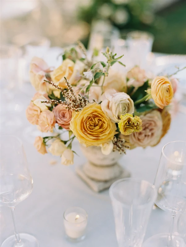 A Garden Wedding for Venus and Nash