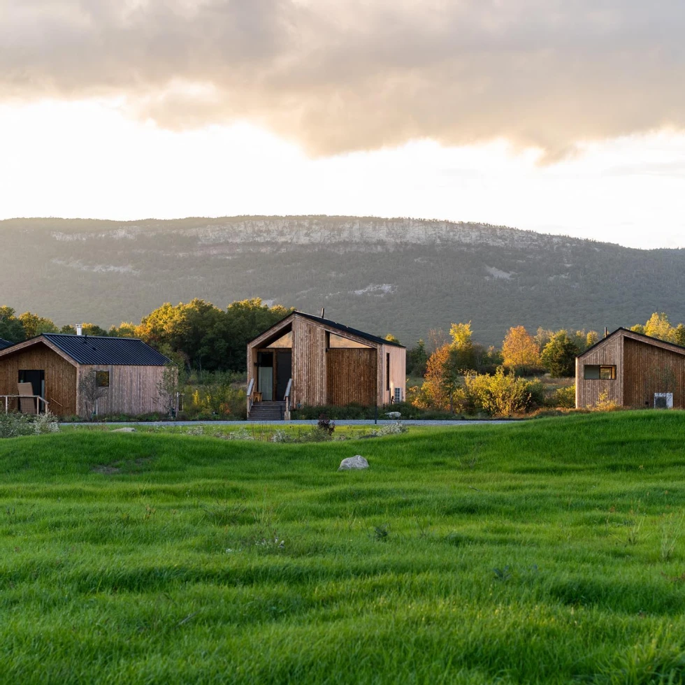 Wildflower Farms